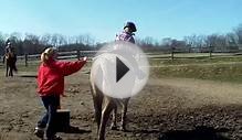 Horse Riding Lessons 03-10-2012-4/6