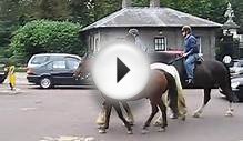 Horse riding near London Hyde Park