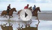 Horse riding on the beach: all you need to know