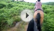 Horse riding through the new forest