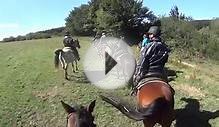 Horse riding tour in Haute Langedoc, France