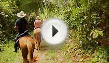 Horseback Riding | Bocawina Rainforest Resort Adventures