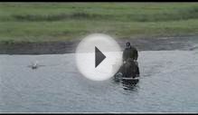 Horseback Riding in Iceland