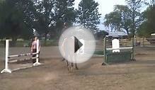 Horseback Riding Lessons Buffalo NY | Horse Jumping - Cisco