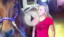 How to get your horse ready for a ride in London Ontario