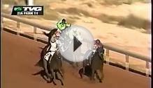 Incredible horse racing win