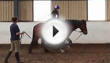 Learning To Ride