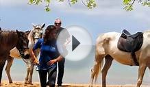 LES ILES DE GUADELOUPE - Horseback Riding Excursion with