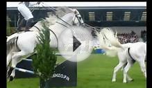 Lorenzo The flying Horseman - Great Yorkshire Show 2011