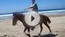 Mazatlan Horseback Riding on Stone Island - Mazatlan Tours