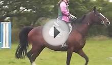 My Horse Riding In Cornwall!