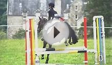 My Life Horse Riding