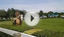 Pretty Cream Horse rides past Great Yorkshire Show 2014