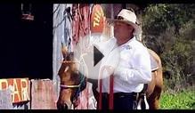 Rainbow Beach Horse Rides on Sunshine Coast Living