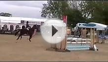 Royal Windsor Horse Show 2013 NSEA Schools SJ