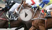 Watch Live Hipodromo Chile - Horse Racing South America