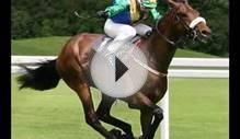 watch live horse racing free