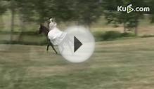 White Horse Riding