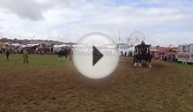 WW1 Cannon Cart Horse at The Great Dorset Steam Fair 2014