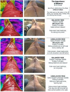 body weight versus Balance in horse riding