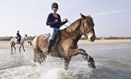 Zoe Williams from Guardian biking on Bandit at Studland Beach Riding Stables